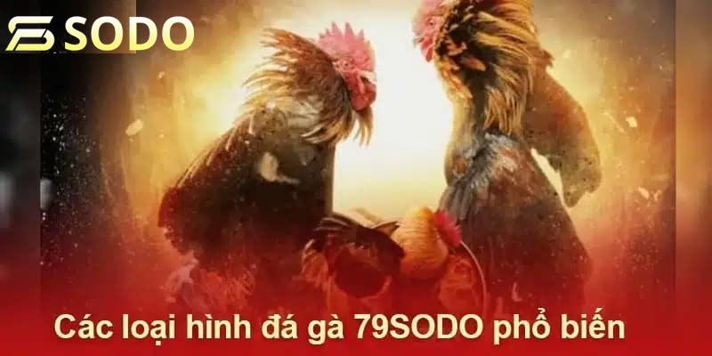 Các sản phẩm đá gà tiêu biểu trên được khách hàng yêu thích