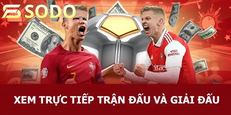 Cập nhật chi tiết về các trận đấu và giải đấu mới nhất